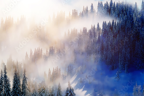 mountain snowy landscape and snow covered trees, graphic effect.