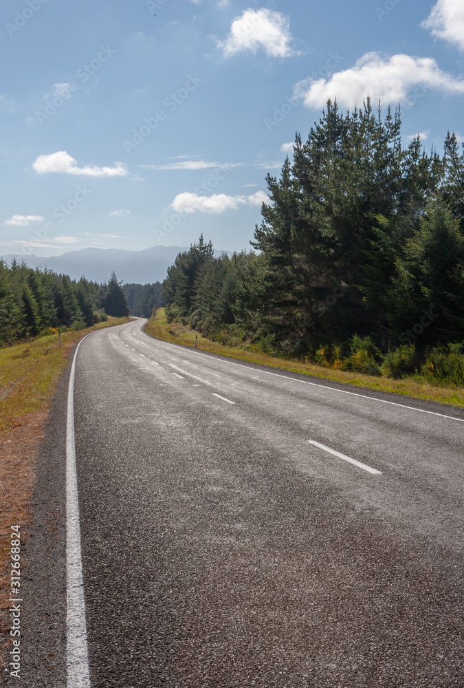 New Zealand Te Urewere road