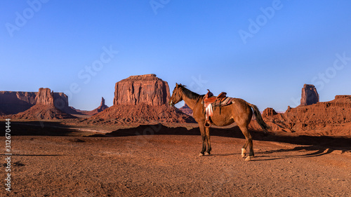Lonely Cowboy Horse at Monument Valley in Arizona