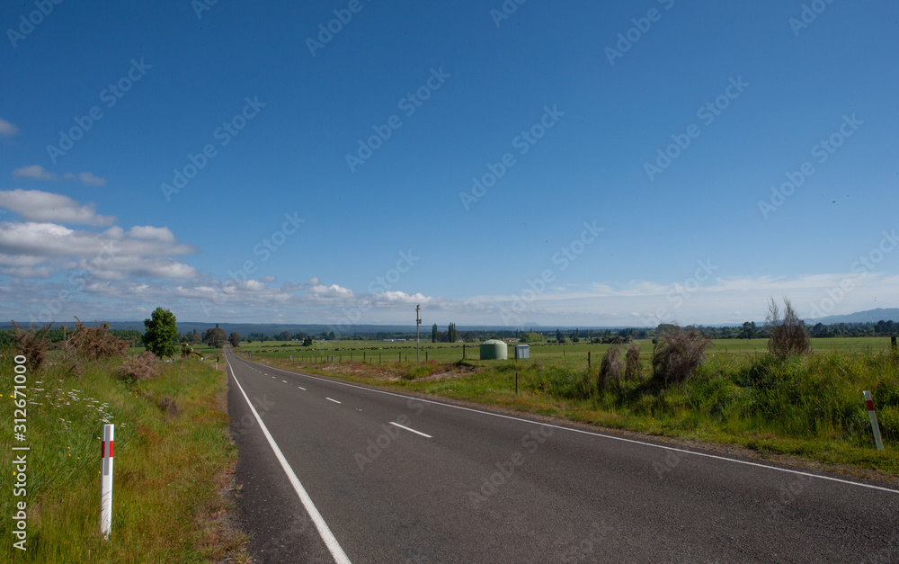 New Zealand Te Urewere road