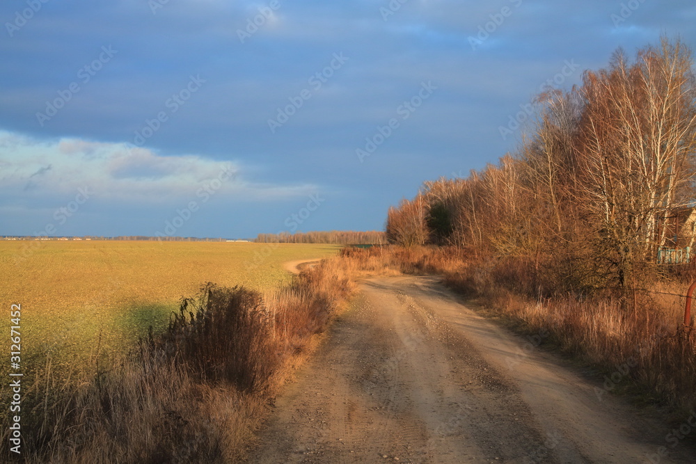A deserted country road. Sandy road along the autumn forest. desert view of the field
