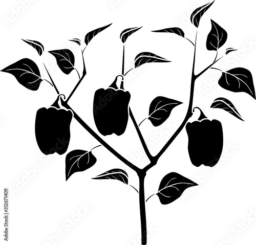 Black silhouette of pepper plant with leaves and peppers. General view of plant isolated on white background