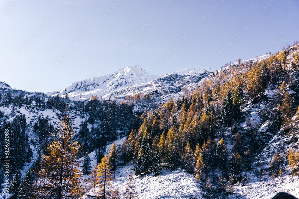The snowy mountains, the forest and nature after the first snowfall of the season in the alps, near the town of Tartano, Italy - November 2019. The snowy mountains, the forest and nature after the first snowfall of the season in the alps, near the town of Tartano, Italy - November 2019.