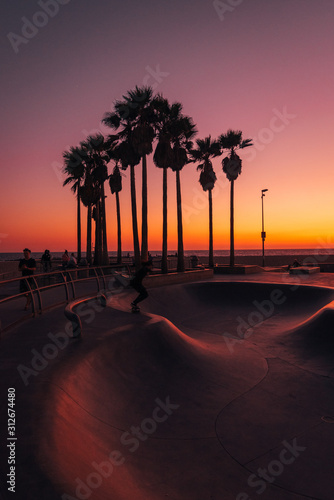 Skate park and palm trees at sunset in Venice Beach, Los Angeles, California