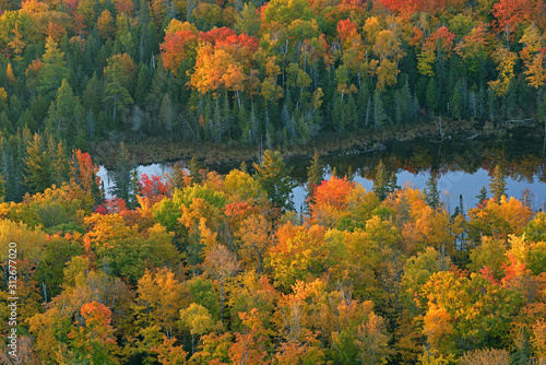 Autumn forest, Brockway Mountain Drive, Keweenaw Peninsula, Michigan's Upper Peninsula, Michigan, USA