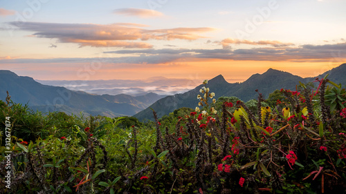 Sunrise in Serra da Bocaina Brazil.