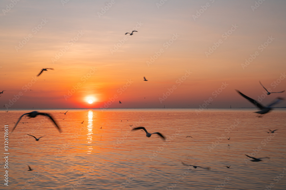Seagulls with yellow and orange sunset. Bright summer day. Vacation time. Silhouettes.
