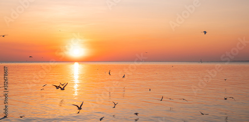 Seagulls with yellow and orange sunset. Bright summer day. Vacation time. Almost silhouettes. Panoramic view. © BomboAruzo