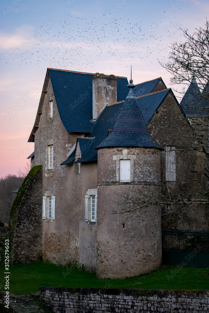 Château de Saint-Mars-de-Coutais un nuage d'oiseaux dans le fond du ciel rose loire atlantique france