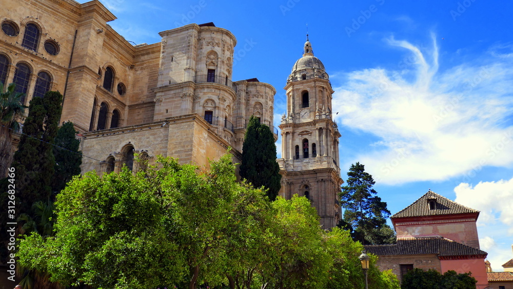  imposante Kathedrale von Malaga ragt hinter grünem Baum empor