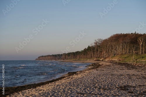 Der einsame Dar  er Weststrand im Abendlicht