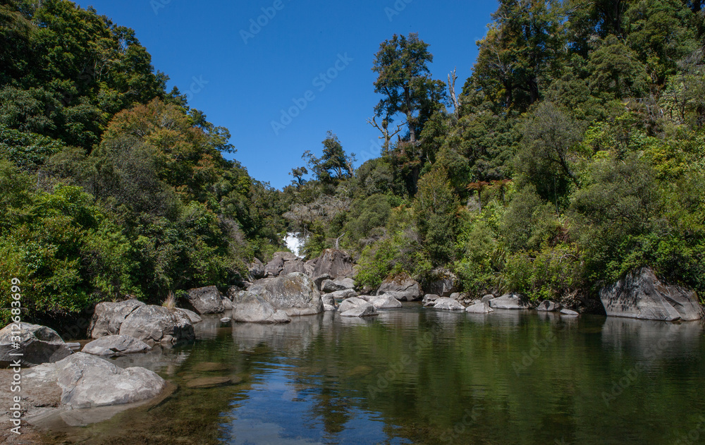 Waterfall. Te Urewera National Park New Zealand. Tropic jungle.