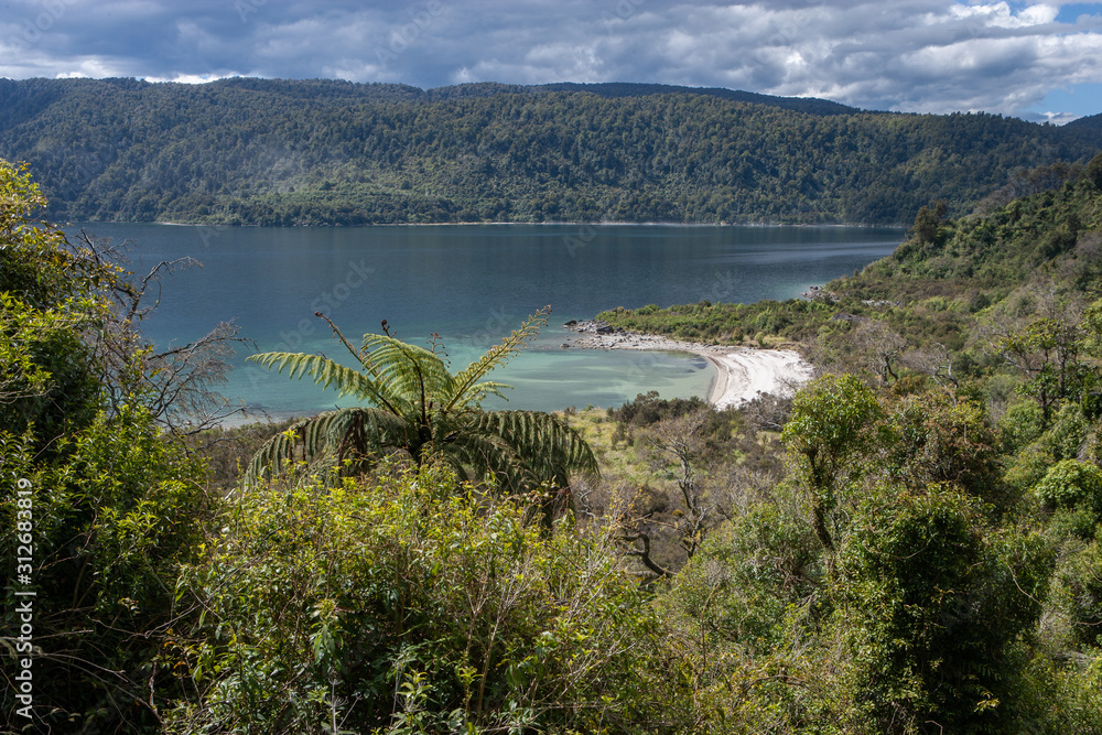 Te Urewera National Park New Zealand. Tropic jungle. Lake Waikaremoana
