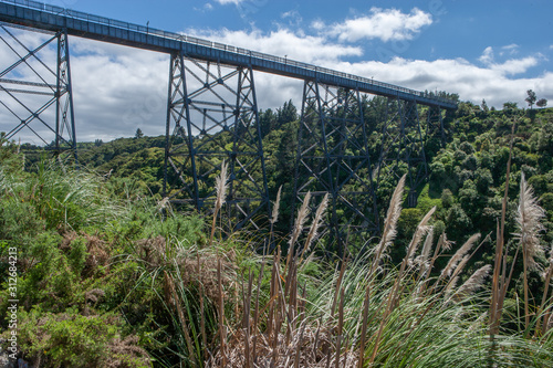 New Zealand. Railroadbridge North Island photo