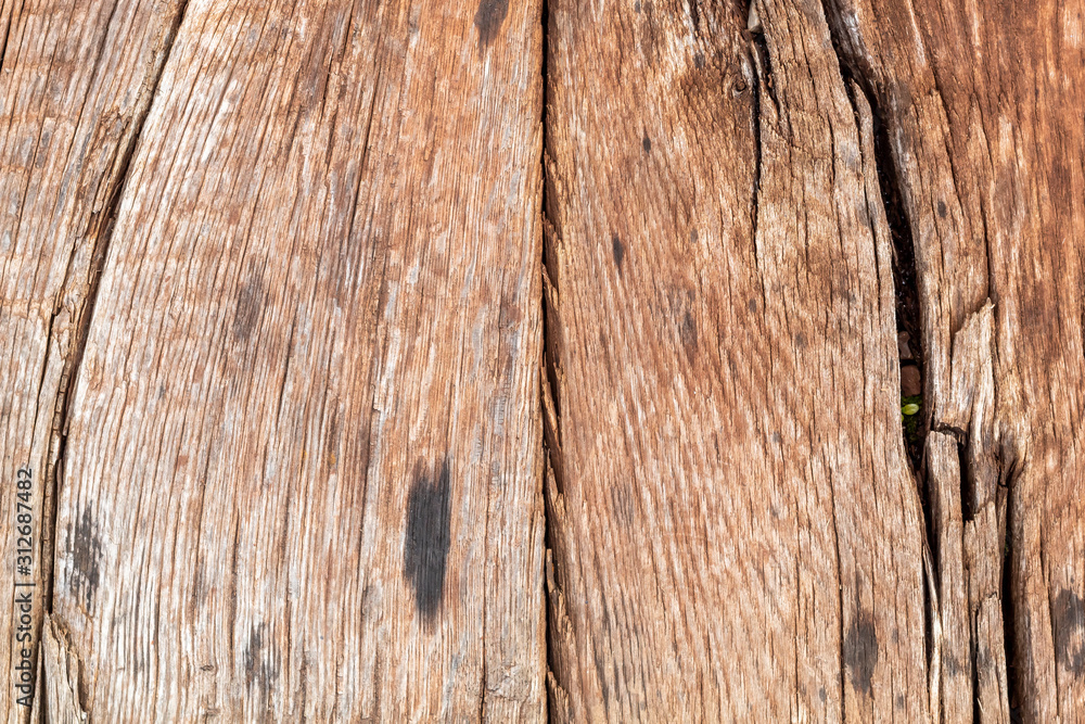 Obraz premium Old Weathered Brown Wood Texture