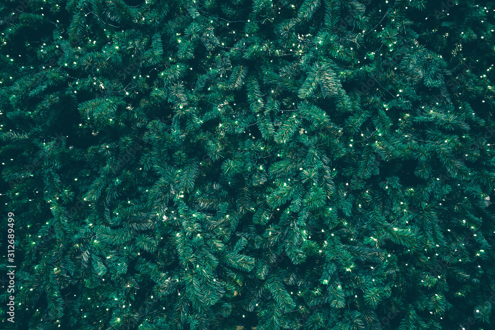Background of green pine tree or Christmas tree branches Background of green pine tree or Christmas tree branches