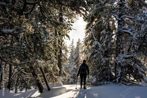 young woman snowshoeing through snow covered pine forest