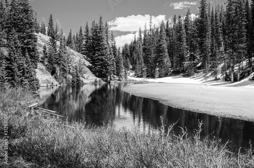 Colorado Rockies