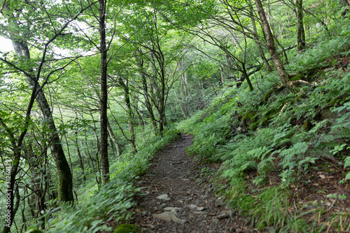 Hiking Trail © Annora