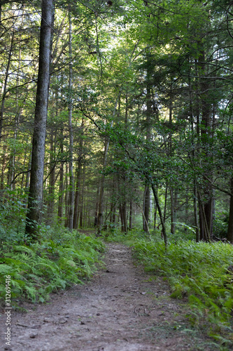 Hiking Trail