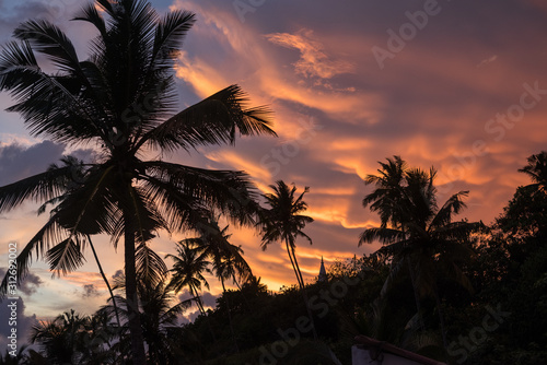 Amazing sunset sky above the jungle