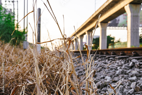 A photograph of hay near a railway.