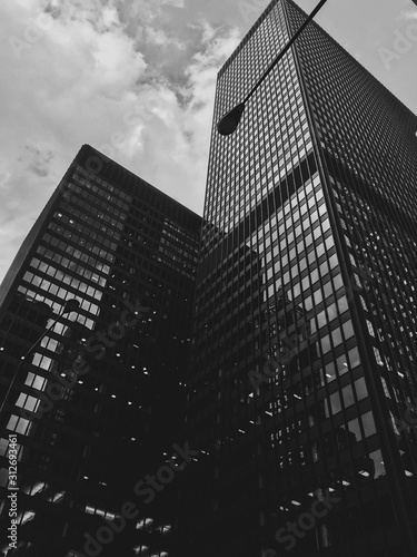 skyscrapers in the city