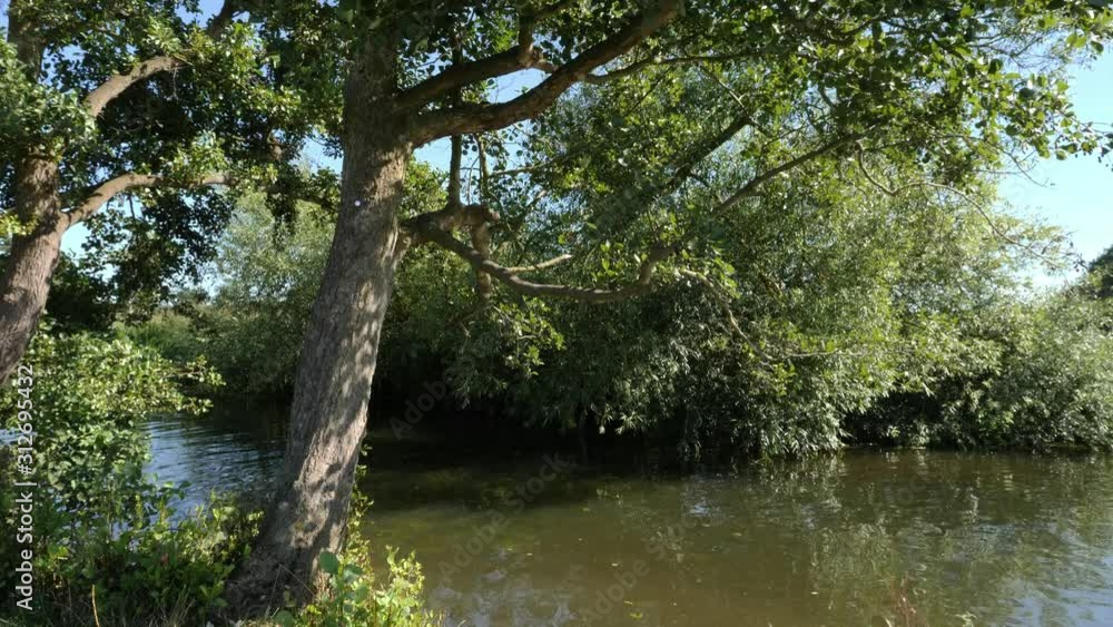 River reflecting on the tree on the bank created a glimmer. River reflecting on the tree on the bank created a glimmer.