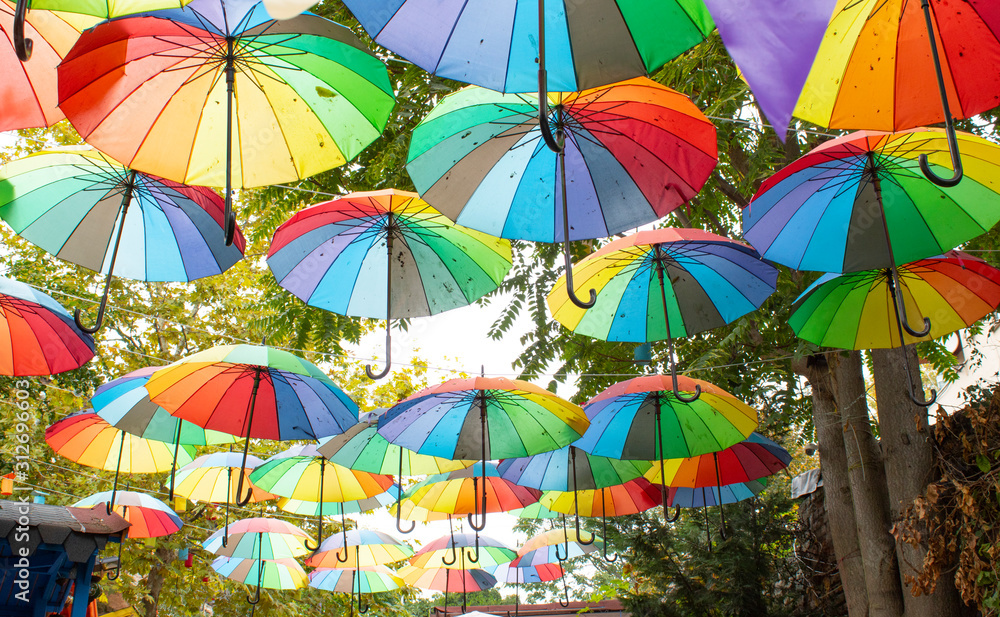 Colorful umbrellas hanging between trees. It was filmed in the middle of the street.