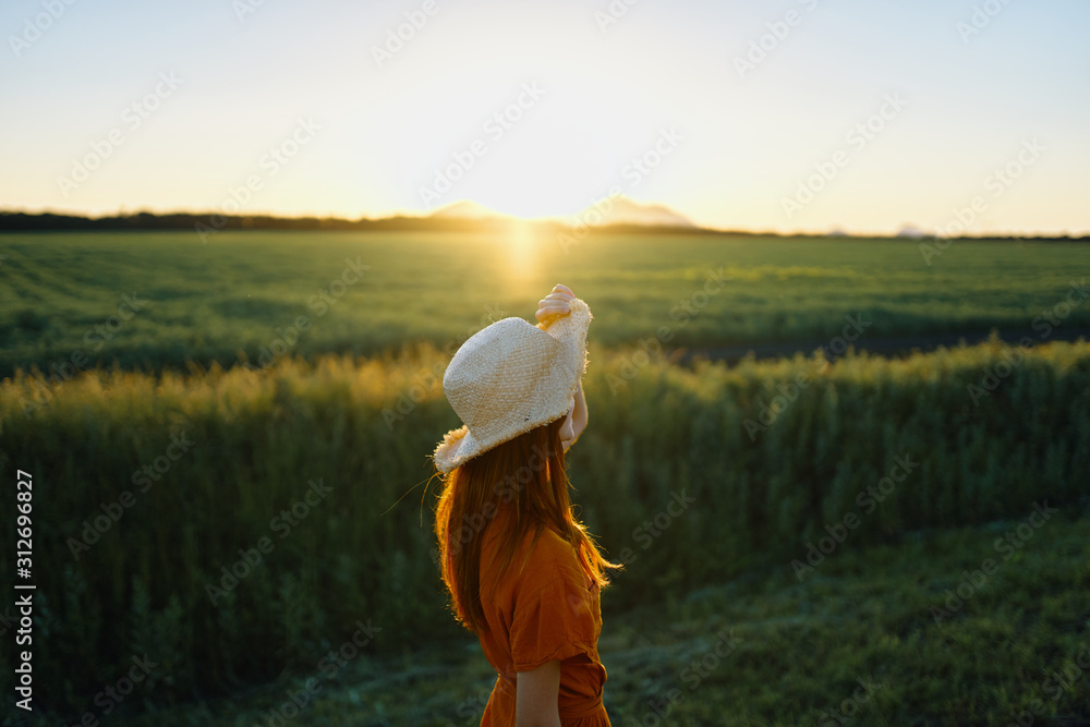 woman in the field woman in the field
