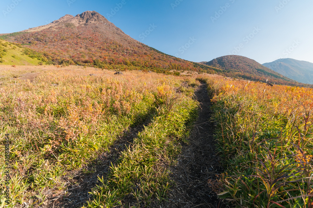 由布岳の登山道stock Photo Adobe Stock