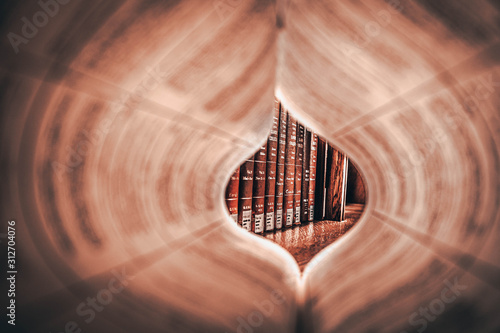 In the book