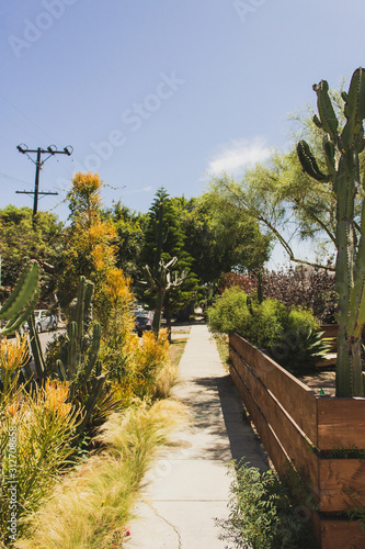Los Angeles Sidewalk 2