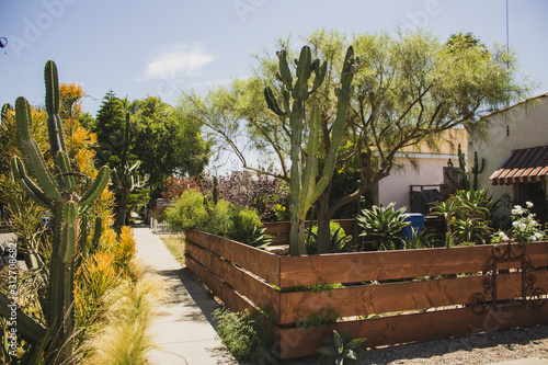 Los Angeles Sidewalk photo