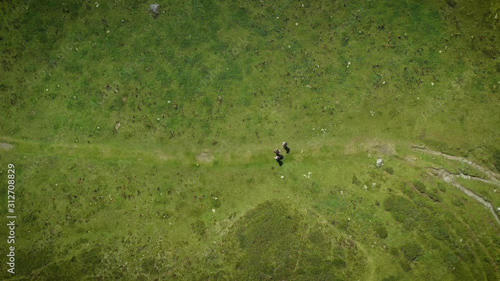Stationary aerial bird's eye view of hikers walking on a green trail in the Swiss Alps Stationary aerial bird's eye view of hikers walking on a green trail in the Swiss Alps