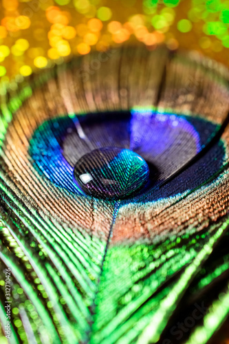 vertical photo of a water drop on a multicolored peacock feather © Lema-lisa