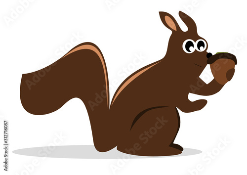 Eichhörnchen