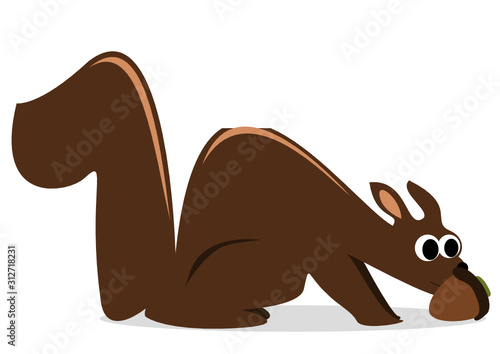 Eichhörnchen