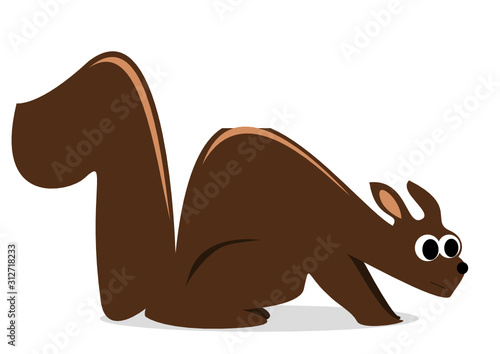 Eichhörnchen
