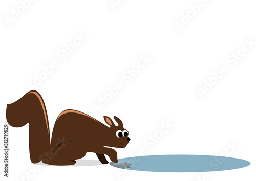 Eichhörnchen