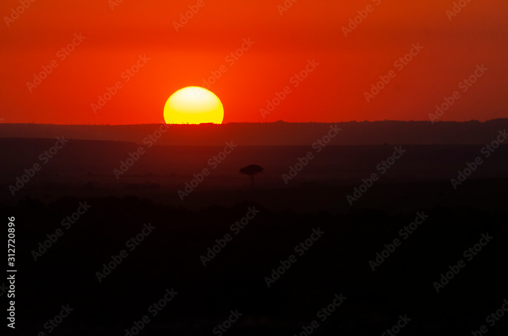 Obraz premium A gorgeous sunset in the plains of Africa inside Masai Mara National Reserve during a wildlife safari