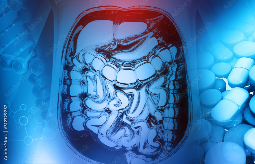 Fototapeta premium Anatomy of human digestive system with medicine. 3d illustration.