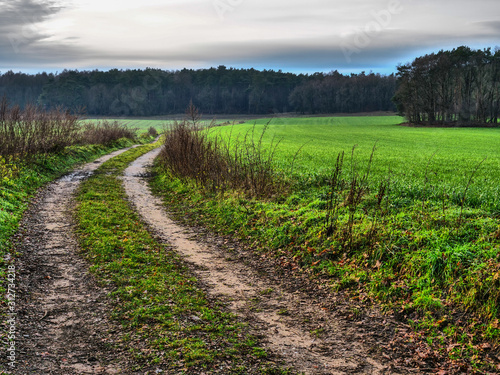 Wandern in der Hohen Mark im Münsterland photo