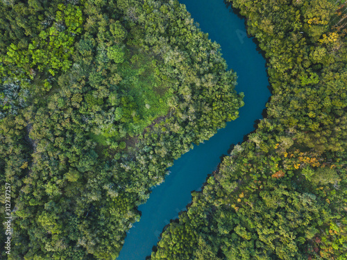 jungle forest aerial landscape, winding river view from above, nature and wilderness