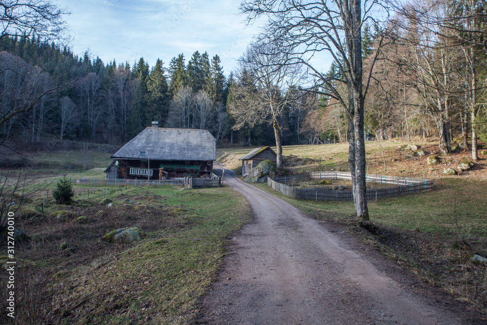 Part of the prisentalweg hiking path in black forest near Triberg Part of the prisentalweg hiking path in black forest near Triberg