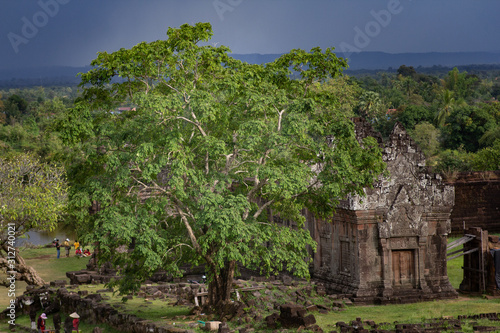 Wat Phu and tree in Champassak Lao photo