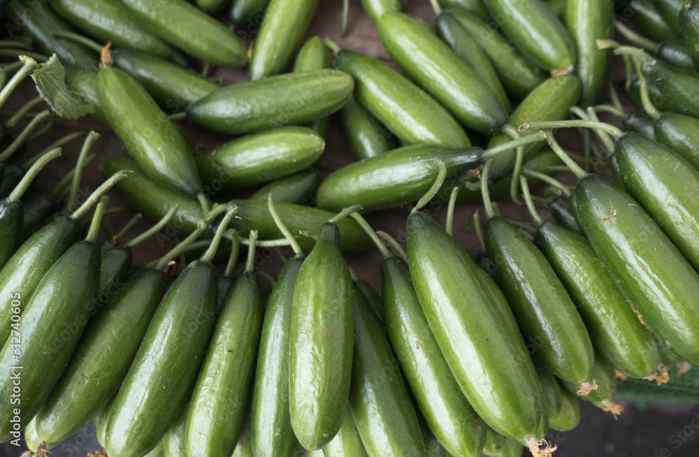 green cucumbers green cucumbers