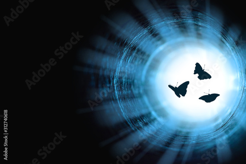 Canvas Print Three butterflies flew into the tunnel