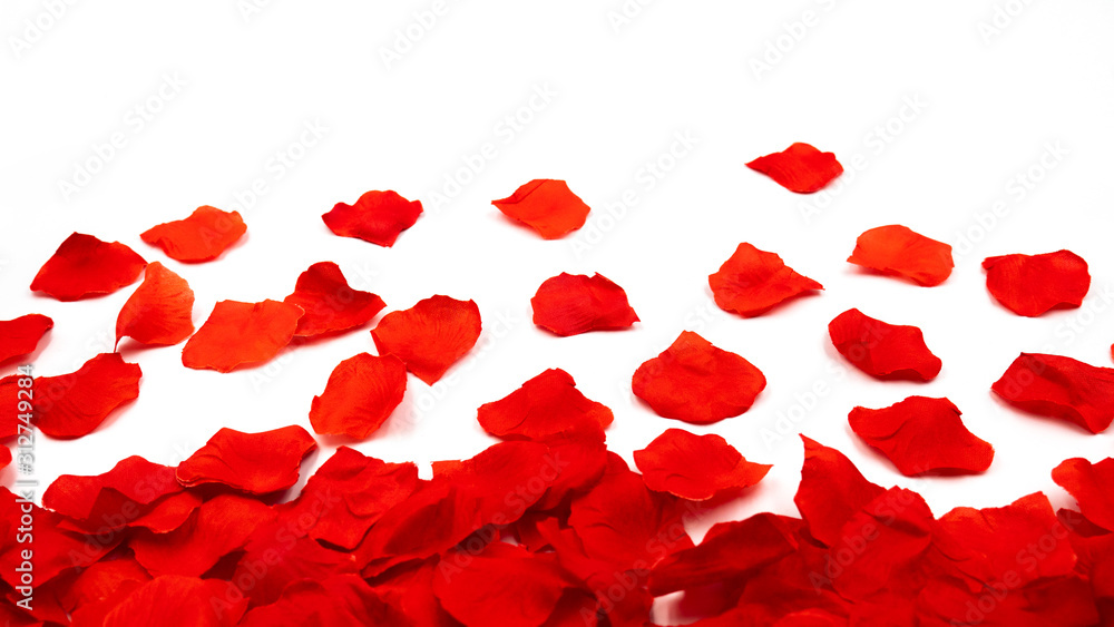 Shot from above of red roses on the white background. Valentine's day. Shot from above of red roses on the white background. Valentine's day.