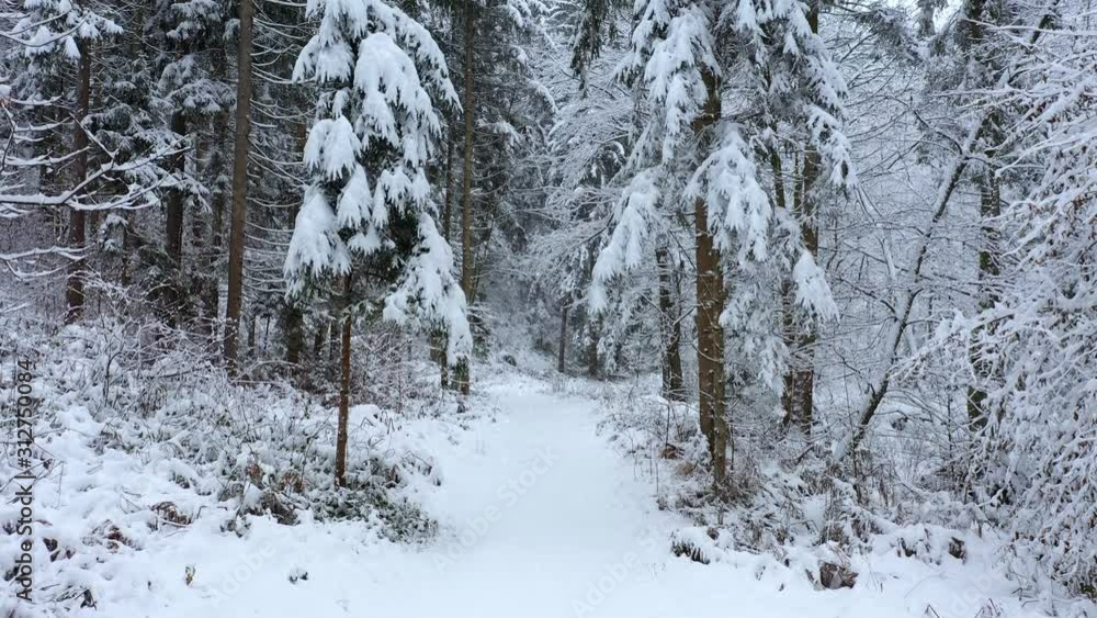 Beautiful snow falling in snowy forest with path. Beautiful snow falling in snowy forest with path.